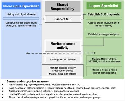 Strengthening lupus education and coordinated care in developing countries